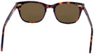 Wayfarer Demi Amber Shuron Freeway 54 (Mens XL Fit) Bifocal Reading Sunglasses View #4