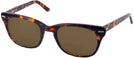 Wayfarer Demi Amber Shuron Freeway 54 (Mens XL Fit) Bifocal Reading Sunglasses View #1