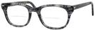 Wayfarer Demi Grey Shuron Freeway 54 (Mens XL Fit) Bifocal View #1
