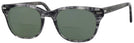 Wayfarer Demi Grey Shuron Freeway 54 (Mens XL Fit) Bifocal Reading Sunglasses View #1
