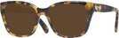 Square Havana Clear Swarovski 2008 Progressive No-Line Reading Sunglasses View #1