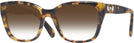 Square Havana Clear Swarovski 2008 w/ Gradient Progressive No-Line Reading Sunglasses View #1