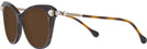 Butterfly Havana Swarovski 2012 Progressive Reading Sunglasses View #3