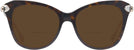Butterfly Havana Swarovski 2012 Bifocal Reading Sunglasses View #2
