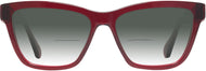 Transparent Burgundy #2