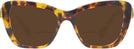 Cat Eye,Oversized Havana Media Swarovski 6018 Bifocal Reading Sunglasses View #2