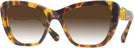 Cat Eye,Oversized Havana Media Swarovski 6018 w/ Gradient Progressive No-Line Reading Sunglasses View #1