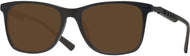 Brown #1