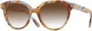 Round Blue Honey Tortoise Tory Burch 2154U w/ Gradient Bifocal Reading Sunglasses View #1