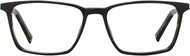Black/tortoise #2