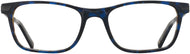 Blue/tortoise #2