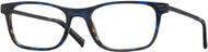 Blue/tortoise #1