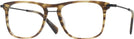 Square Olive/Horn Varvatos V420 Single Vision Full Frame View #1