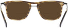 Square Olive/Horn Varvatos V420 Bifocal Reading Sunglasses View #4