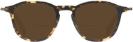 Olive/tortoise #2