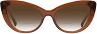 Trans Brown #2