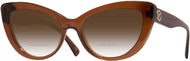 Trans Brown #1