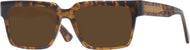 Tortoise #1