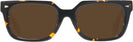 Rectangle Tortoise LZ-54 Progressive No-Line Reading Sunglasses View #2