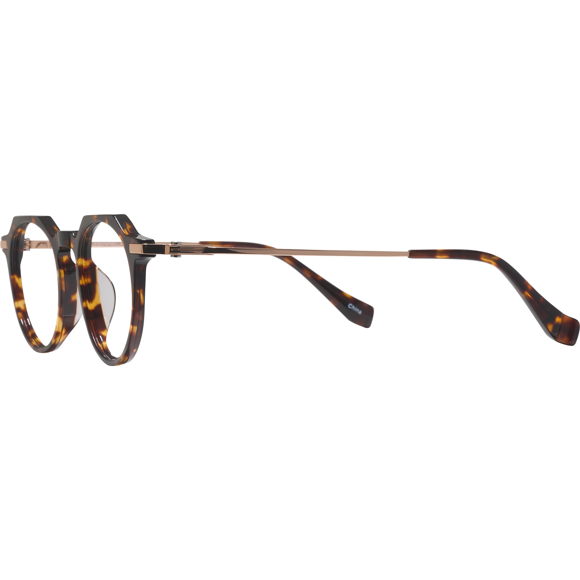 Tortoise LZ-63 Titanium Single Vision Full Frame