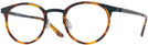Rectangle Matte Blue/shiny Tortoise Titanium Lite-Flex 2 Progressive No-Lines View #1