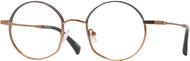 Shiny Copper And Brown #1