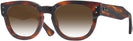 Square Striped Havana Ray-Ban 0298V w/ Gradient Progressive No-Lines Reading Sunglasses View #1