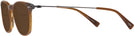 Square Striated Brown Tumi 512 Bifocal Reading Sunglasses View #3