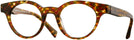 Round Havana/olive Damie Alain Mikli A03090 Progressive No-Lines View #1