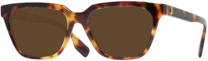   Burberry 2324 Progressive No Line Reading Sunglasses View #1