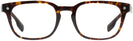 Square Dark Havana Burberry 2335 Single Vision Full Frame View #2