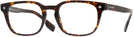 Square Dark Havana Burberry 2335 Single Vision Full Frame View #1