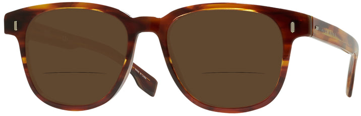 Square Brown Horn Hugo Boss 0956/S Bifocal Reading Sunglasses View #1