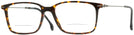 Square Havana Black Carrera 205 Bifocal View #1