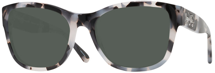   Coach 8243 Progressive No Line Reading Sunglasses View #1