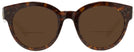 Round Tortoise Glitter Coach 8265 Bifocal Reading Sunglasses View #2