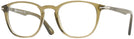 Round Trans Olive Green Persol 3143VL Single Vision Full Frame w/ FREE NON-GLARE View #1