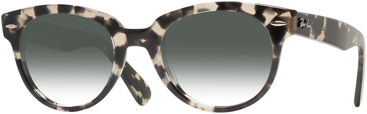 Round Gray Havana Ray-Ban 2199 Progressive No Line Reading Sunglasses with Gradient View #1
