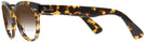 Round Yellow Havana Ray-Ban 2199 w/ Gradient Bifocal Reading Sunglasses View #3