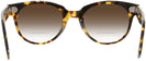 Round Yellow Havana Ray-Ban 2199 Bifocal Reading Sunglasses with Gradient View #4