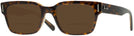 Square Havana on Transparent Brown Ray-Ban 5388 Bifocal Reading Sunglasses View #1