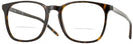 Square Havana Ray-Ban 5387 Bifocal View #1