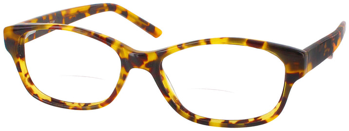   Seattle Eyeworks 931 Bifocal View #1