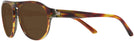 Round,Aviator Havana Red Pointile Black Starck SH5024 Bifocal Reading Sunglasses View #3