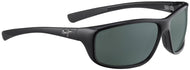 Gloss Black / Grey Lens #1