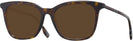 Square Dark Havana Burberry 2390 Progressive No-Line Reading Sunglasses View #1