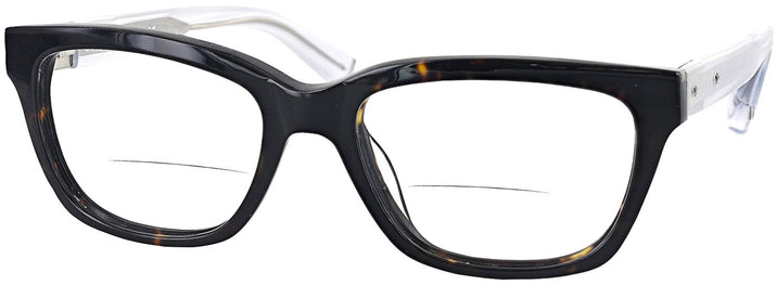   The Luca Bifocal View #1
