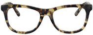 Khaki Tortoise #2