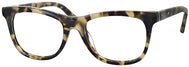Khaki Tortoise #1
