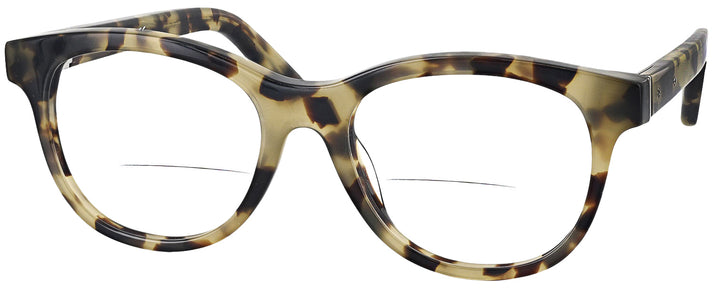   The Dalton Bifocal View #1